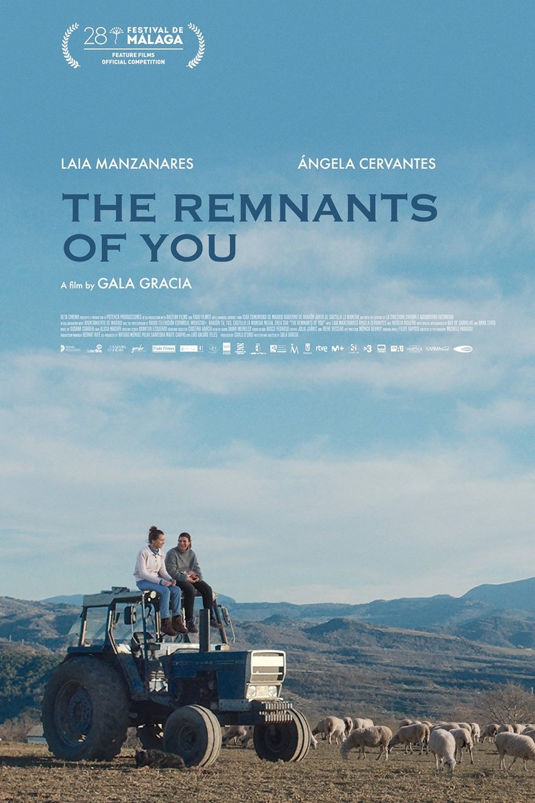 Poster of The Remnants of You