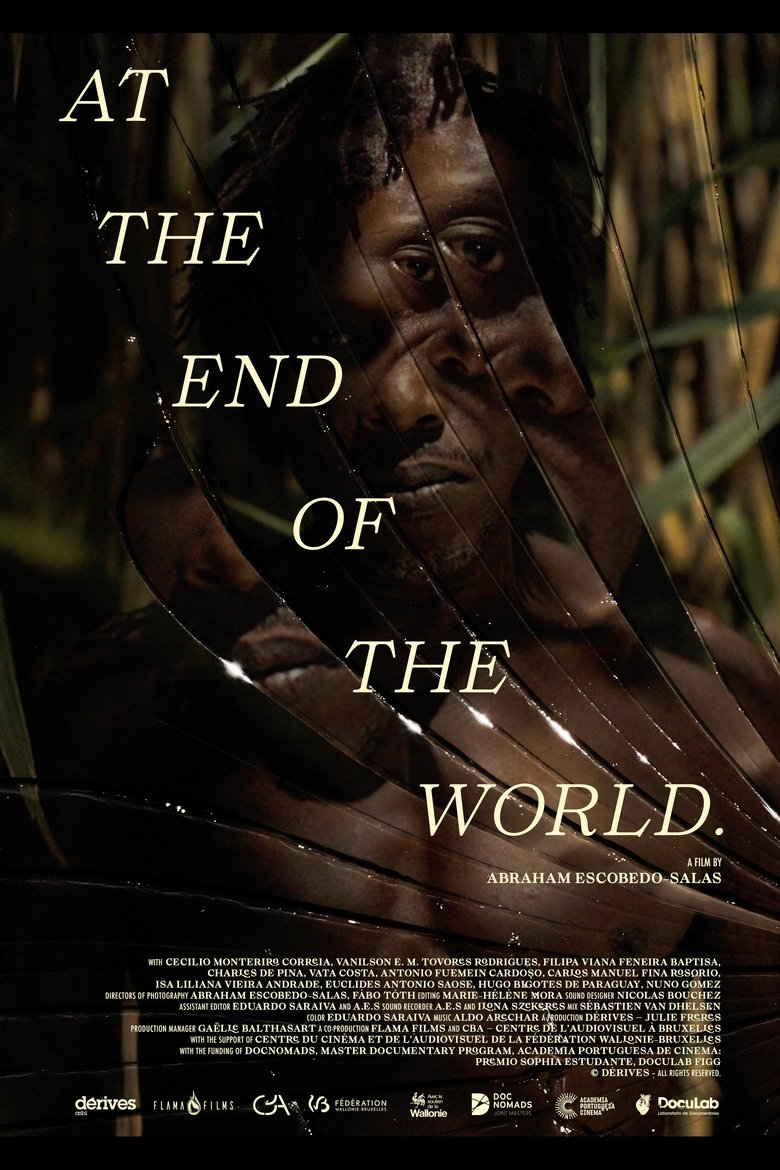 Poster of At the End Of The World