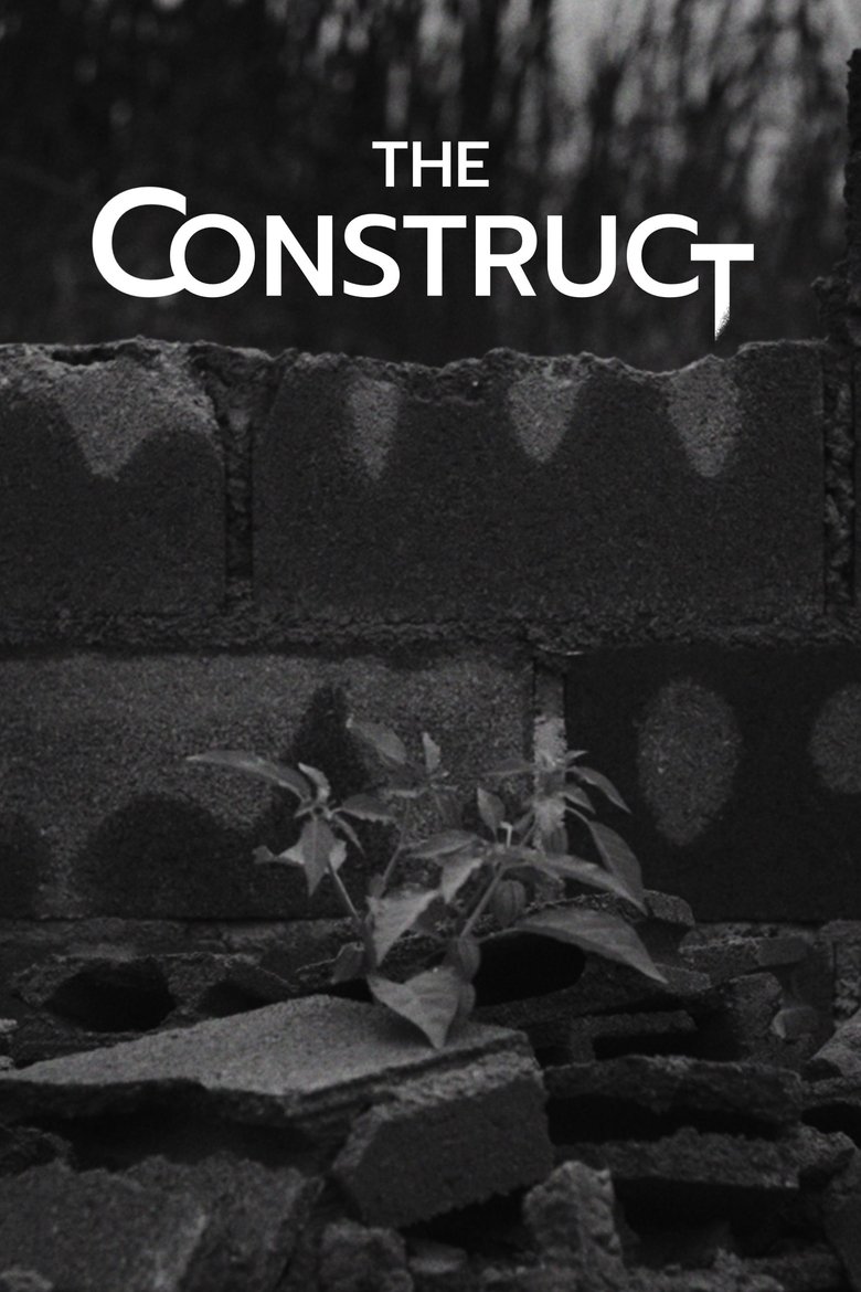 Poster of The Construct