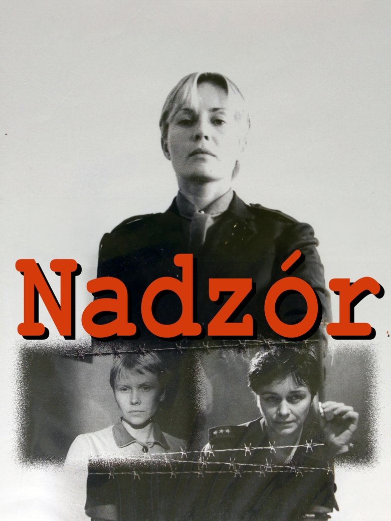 Poster of Custody