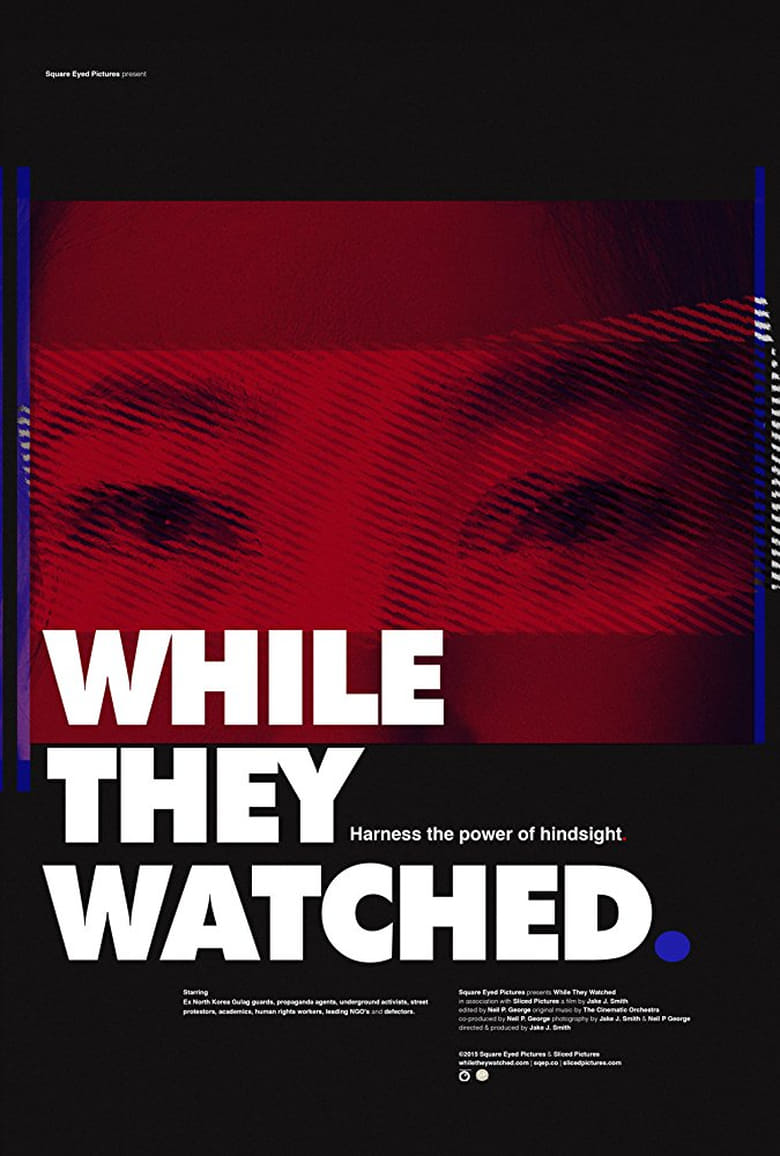 Poster of While They Watched