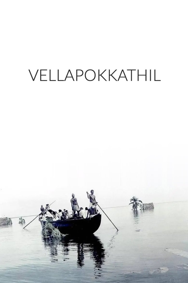 Poster of The Deluge