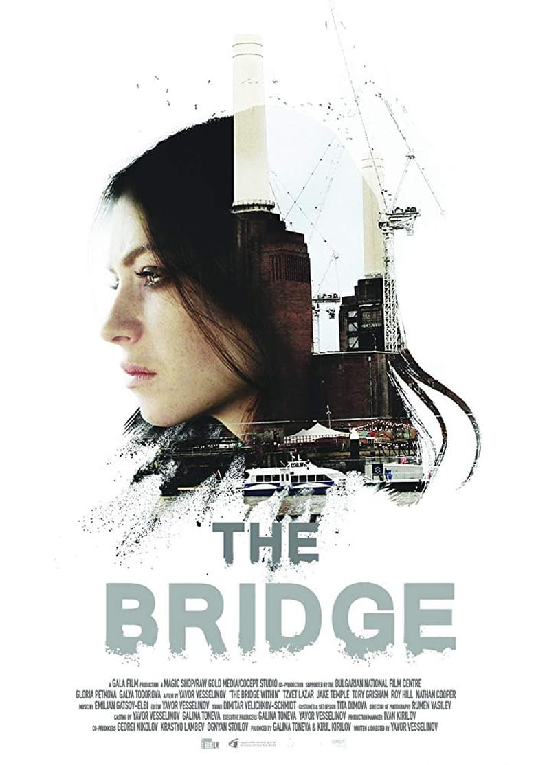 Poster of The Bridge