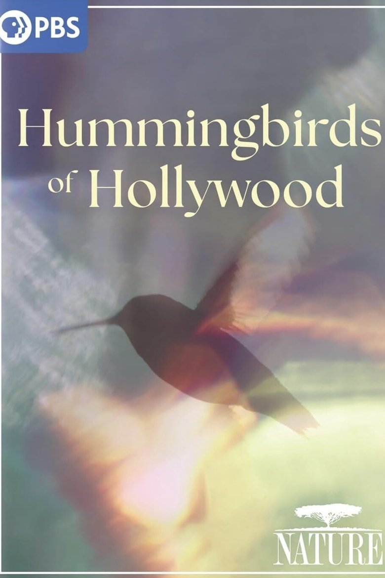 Poster of Hummingbirds of Hollywood