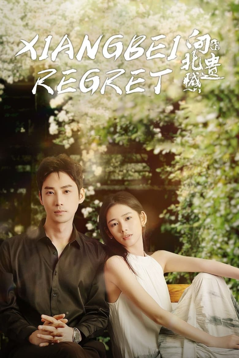 Poster of Xiangbei Regret