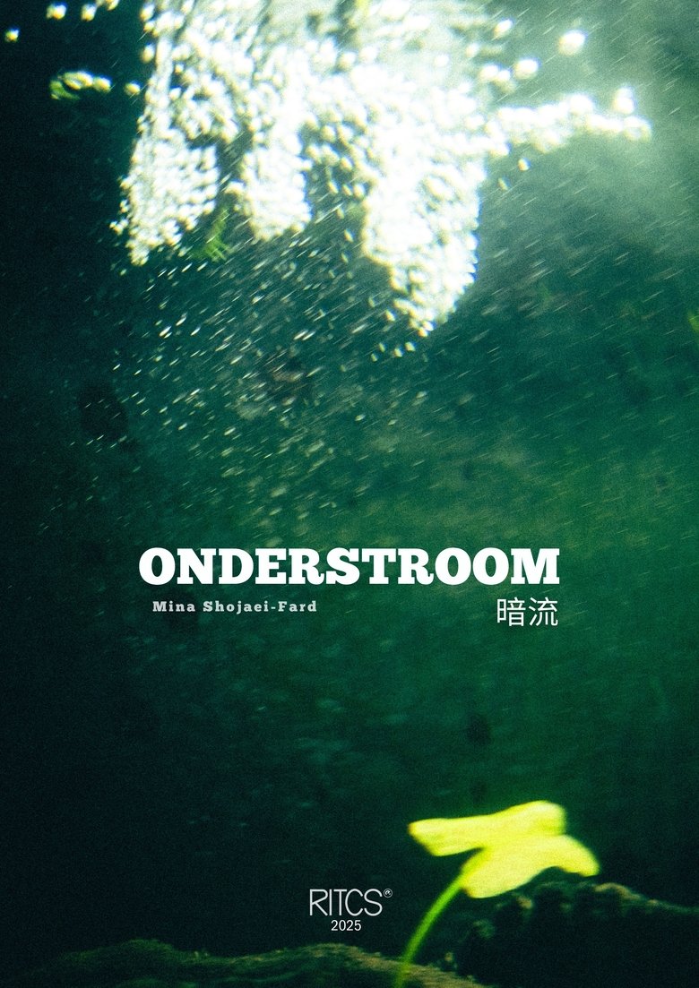 Poster of Undercurrent - 暗流
