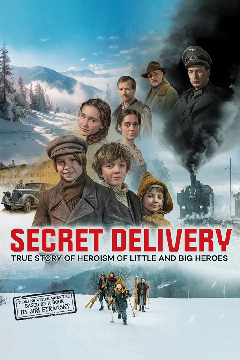 Poster of Secret Delivery