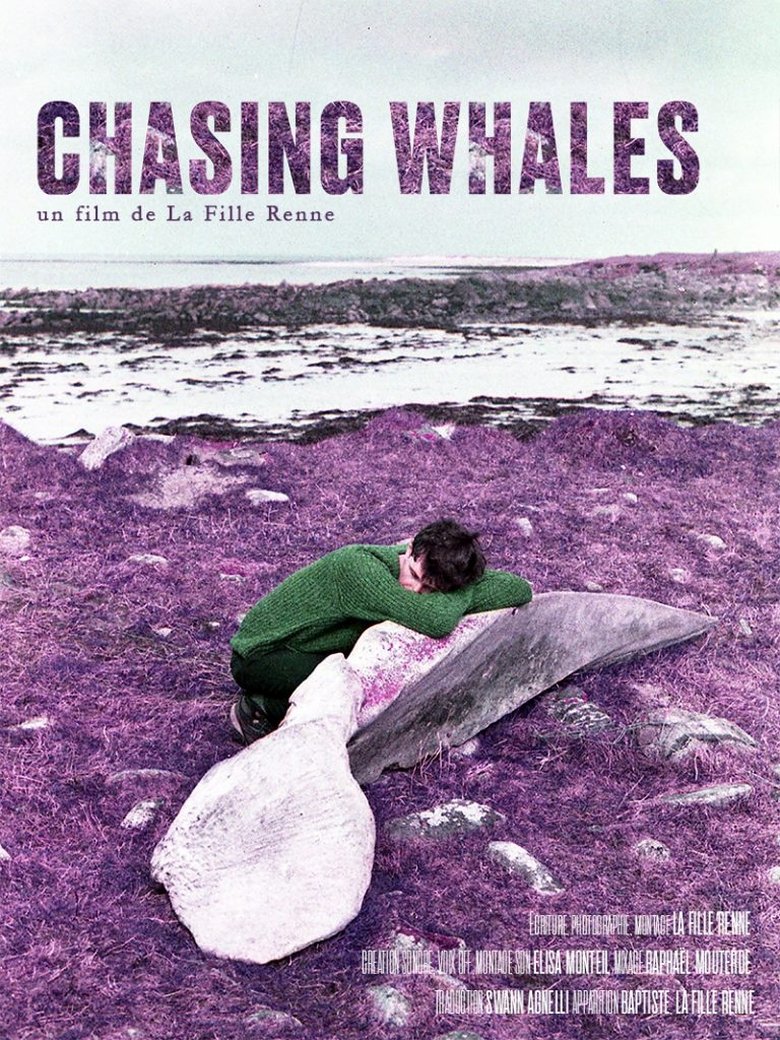 Poster of Chasing Whales
