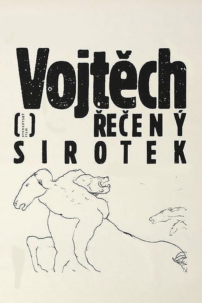 Poster of Vojtech, Called the Orphan