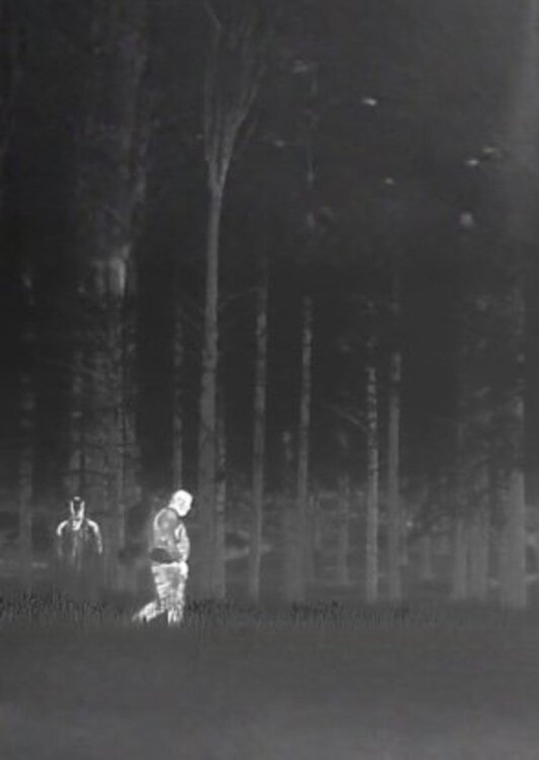 Poster of Untitled Trailcam Footage