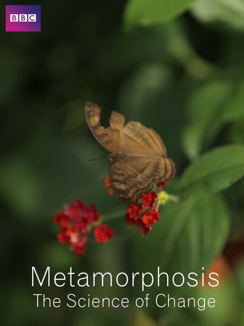 Poster of Metamorphosis: The Science of Change