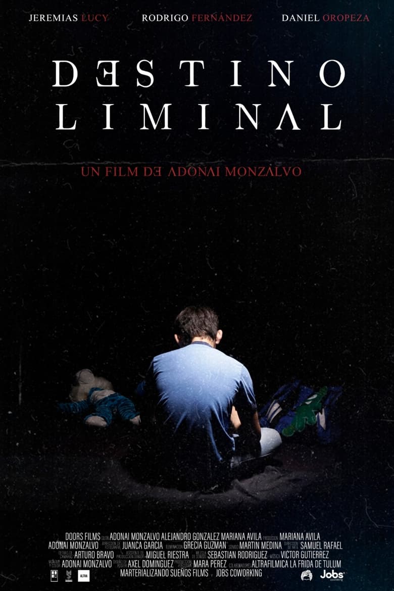 Poster of Destino Liminal