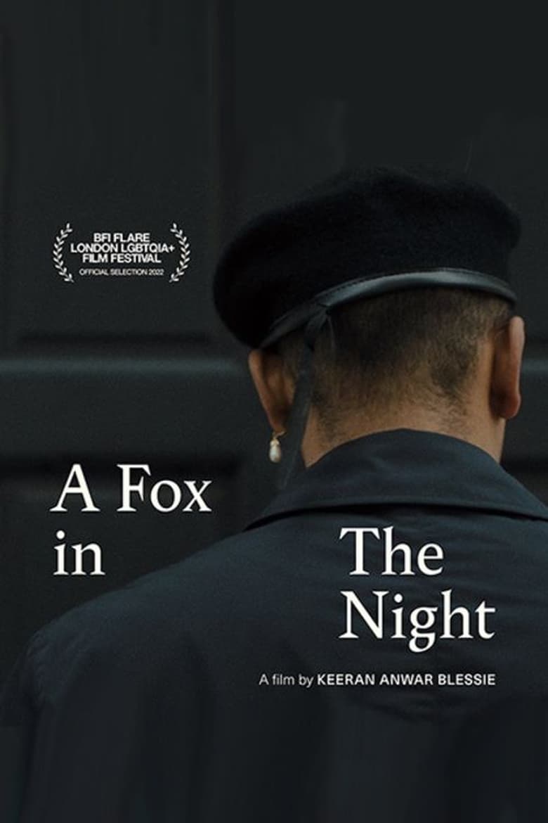 Poster of A Fox in the Night