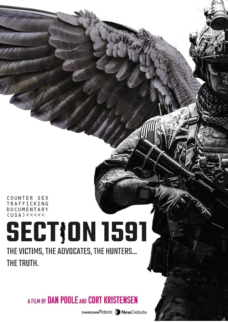 Poster of Section 1591