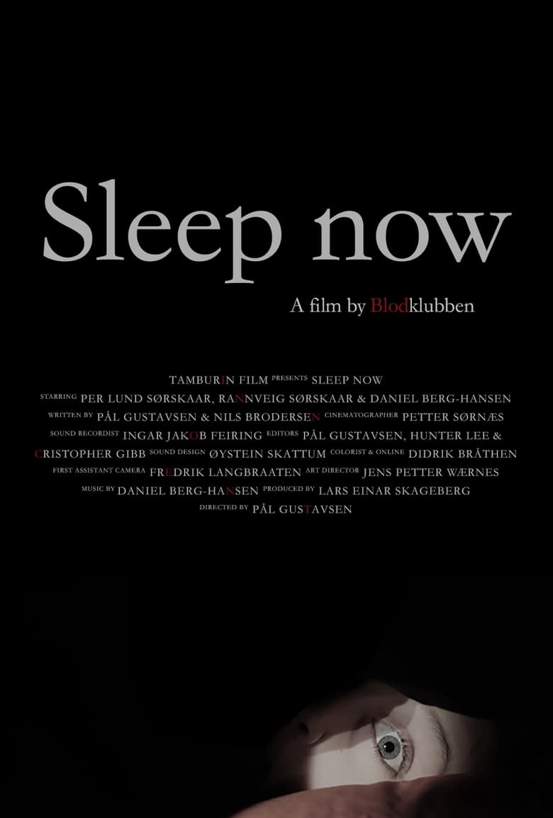 Poster of Sleep Now