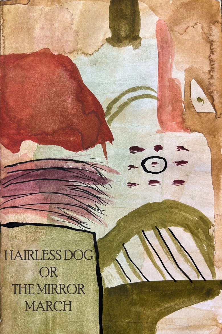 Poster of Hairless dog or The Mirror March