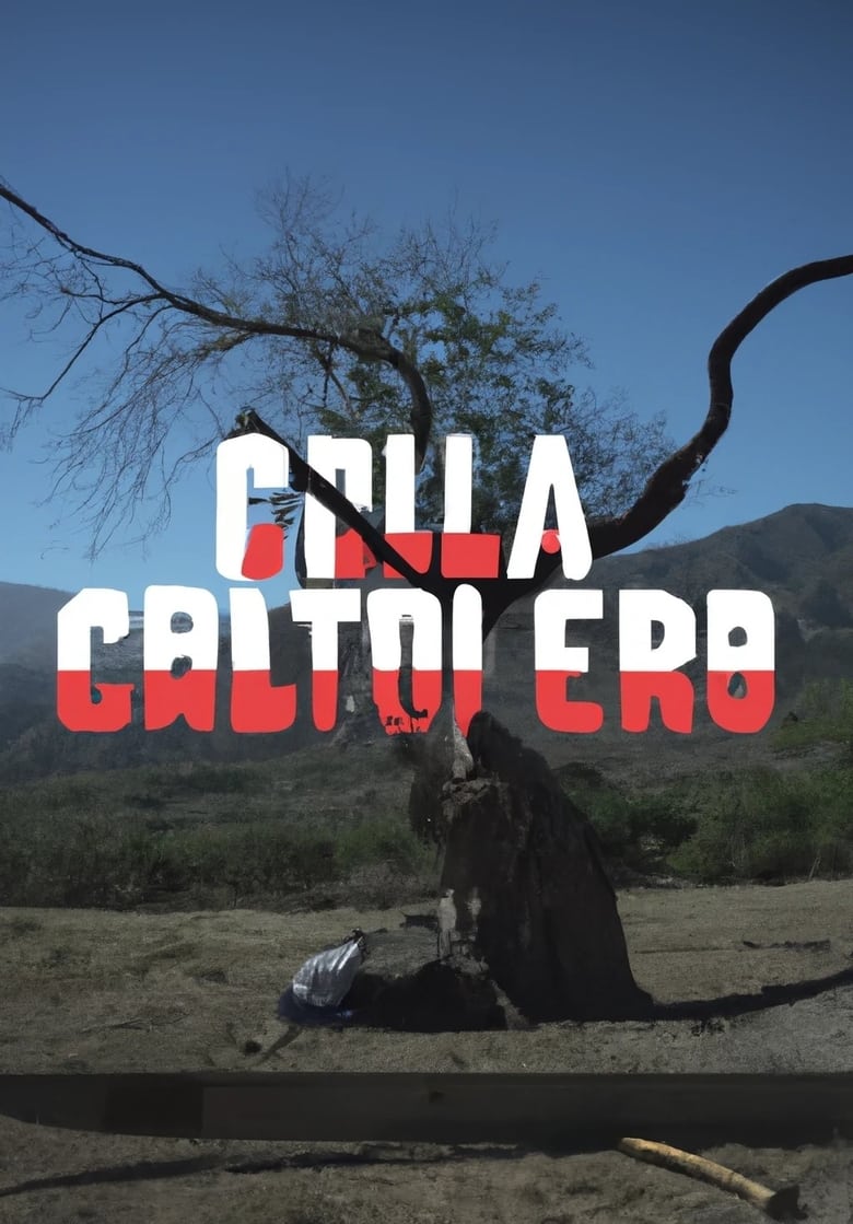 Poster of Calavera No Chilla