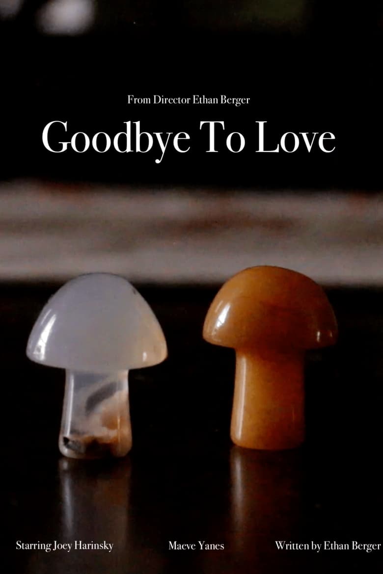 Poster of Goodbye To Love