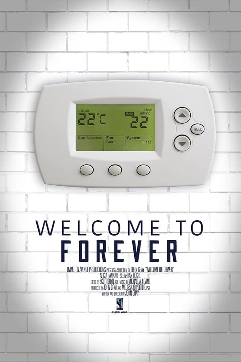 Poster of Welcome to Forever