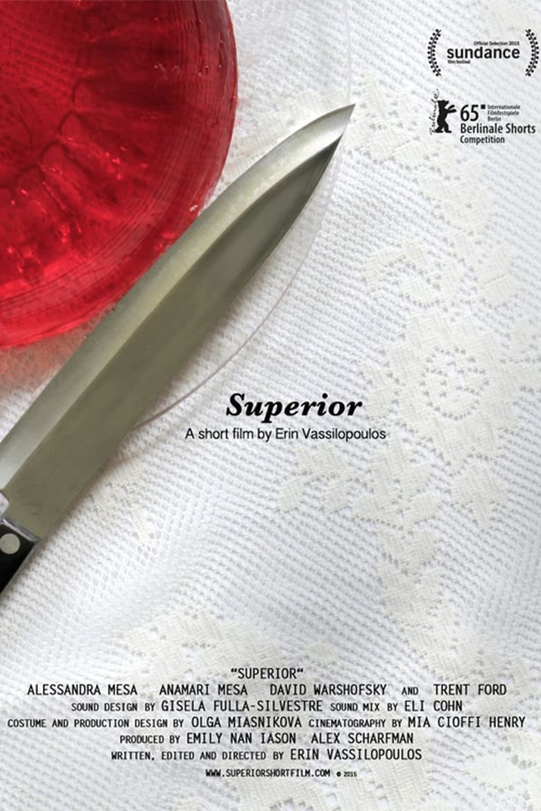 Poster of Superior