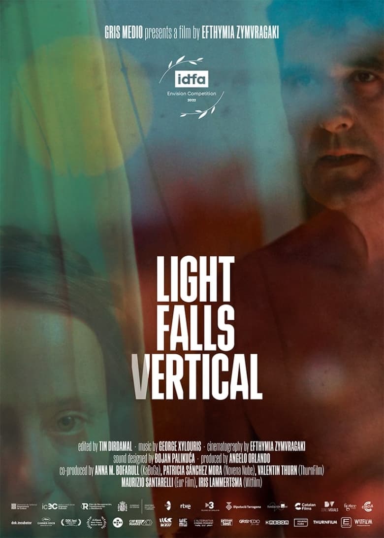 Poster of Light Falls Vertical