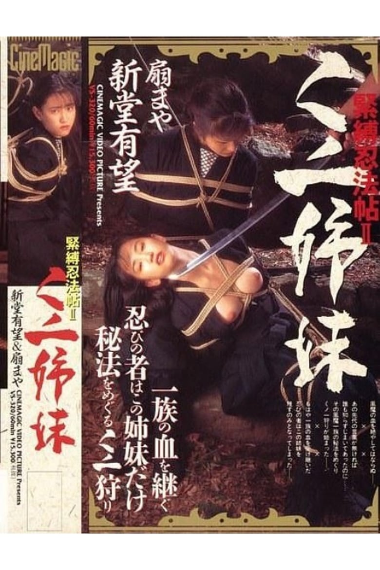 Poster of Ninja Sisters