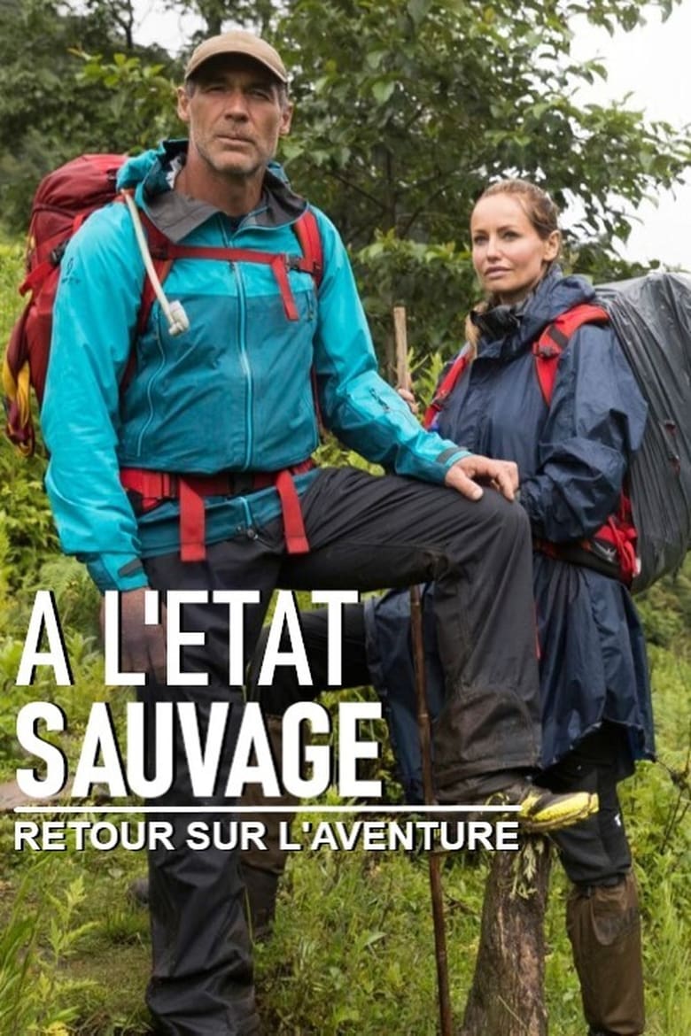 Poster of A l'état sauvage - Retour sur l’aventure