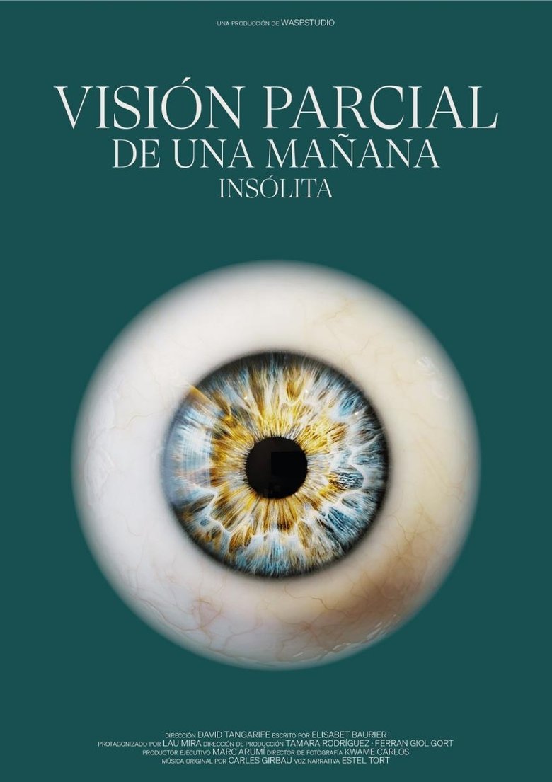Poster of Visión Parcial de una Mañana Insólita