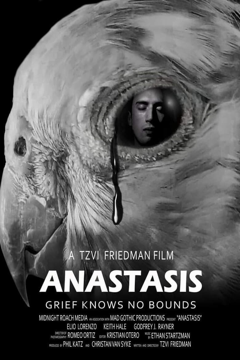 Poster of Anastasis