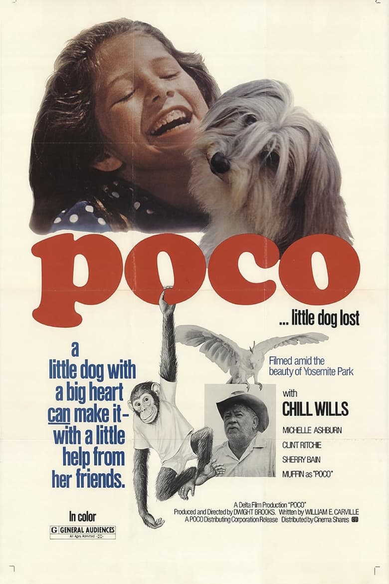 Poster of Poco… Little Dog Lost