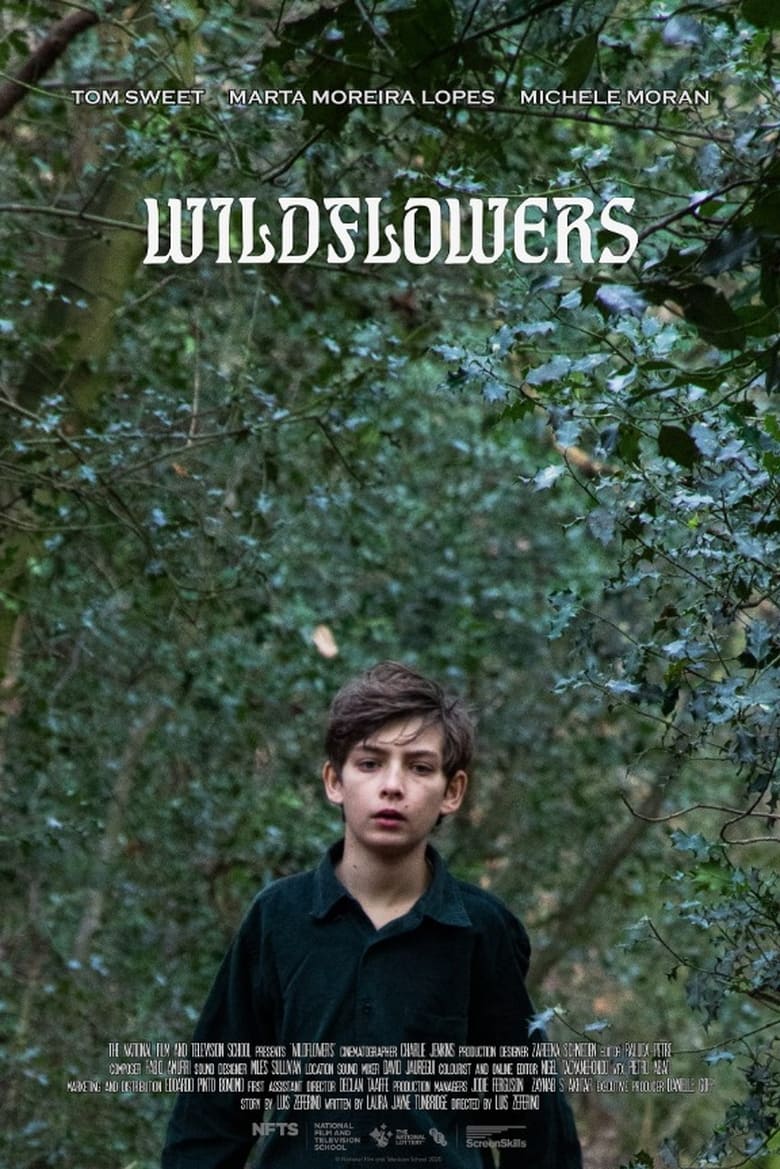 Poster of Wildflowers