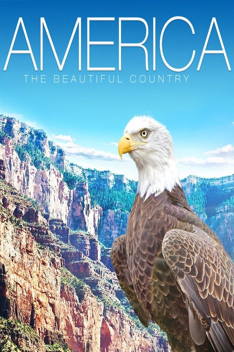 Poster of America - The Beautiful Country