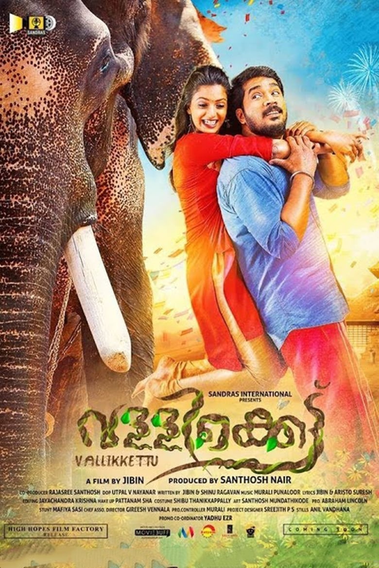 Poster of Vallikkettu