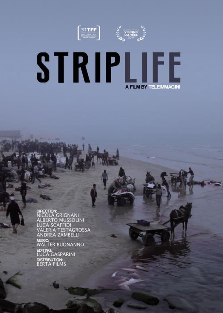 Poster of Striplife