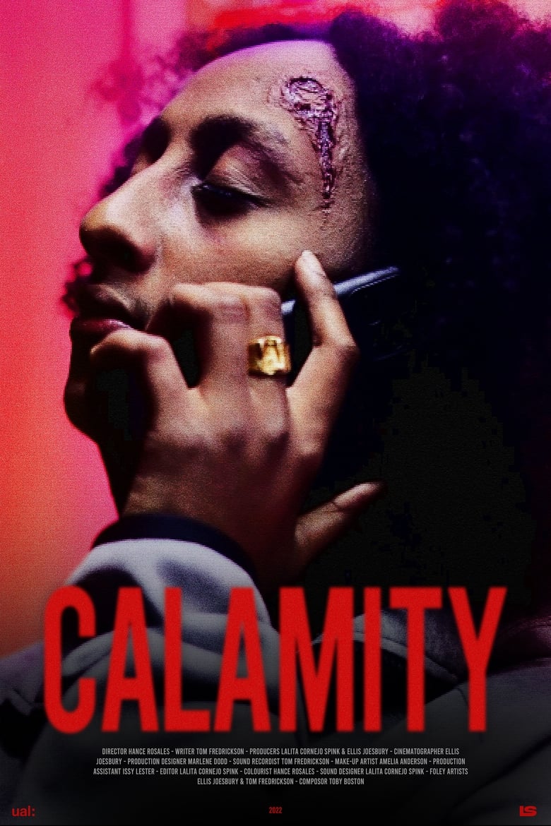 Poster of Calamity