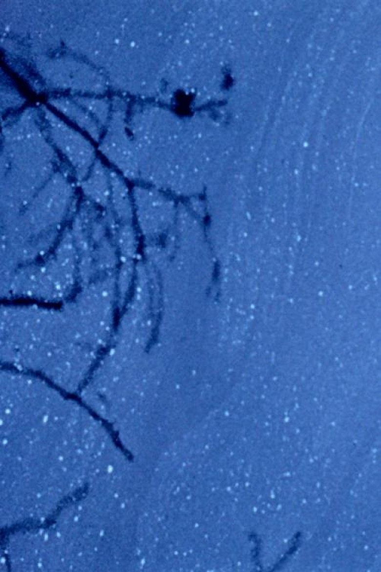 Poster of Reflections