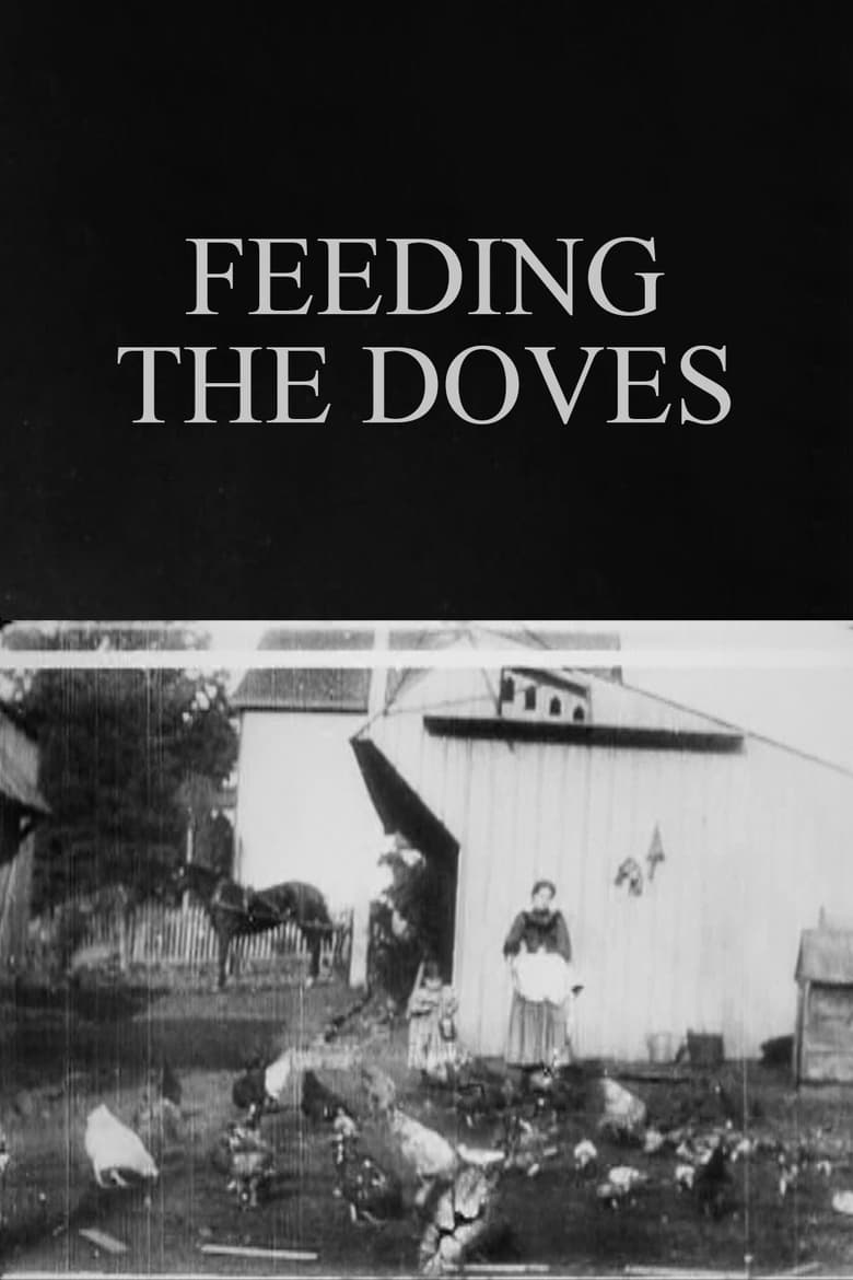 Poster of Feeding the Doves