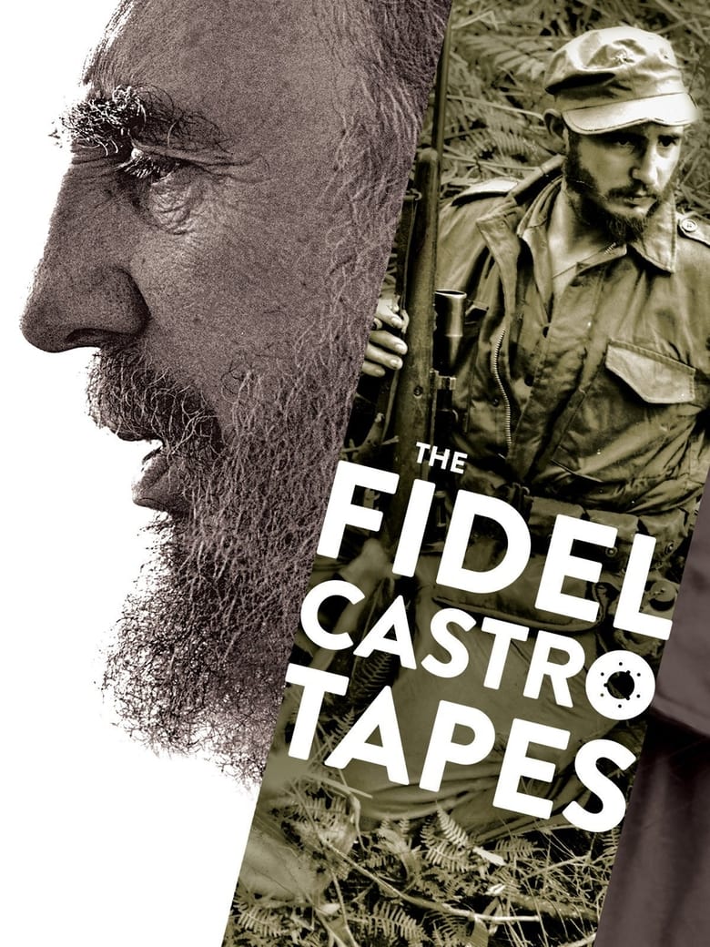 Poster of The Fidel Castro Tapes