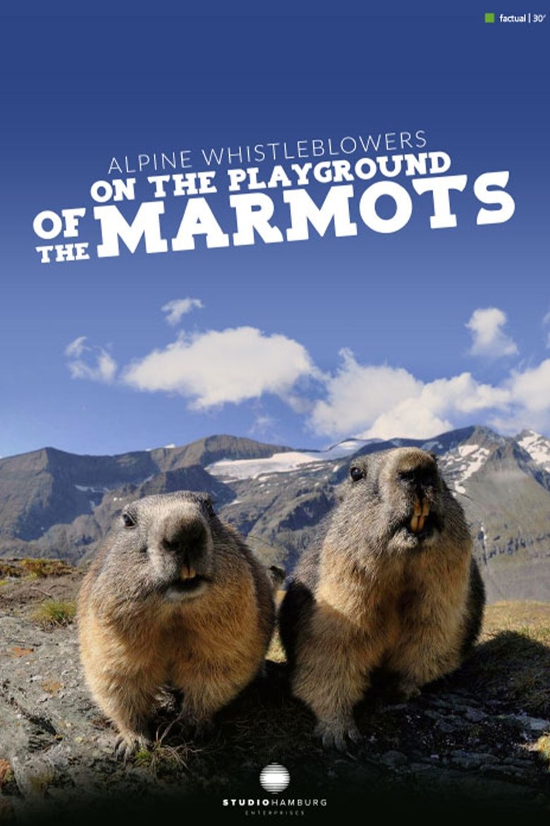Poster of Alpine Whistleblowers - on the playground of the marmots