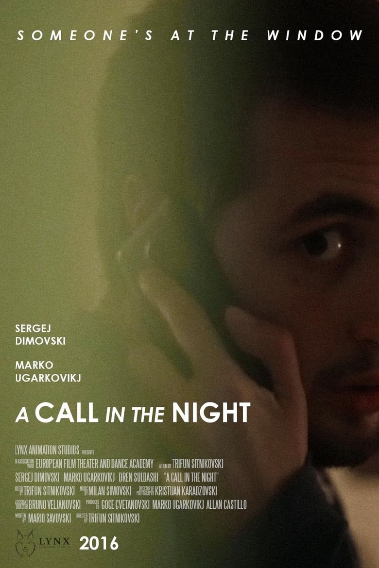 Poster of A Call in the Night