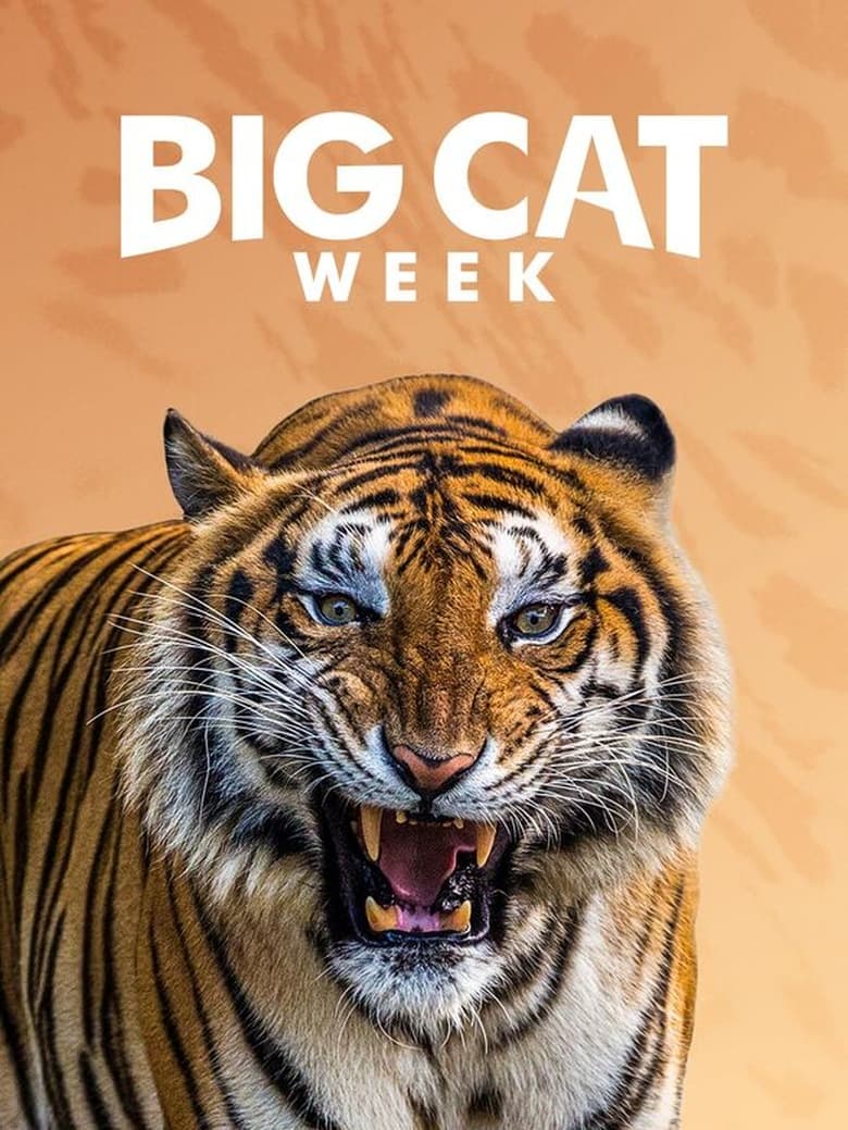 Poster of Big Cat Diary