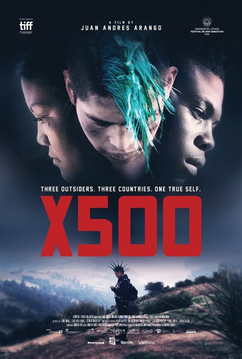 Poster of X500