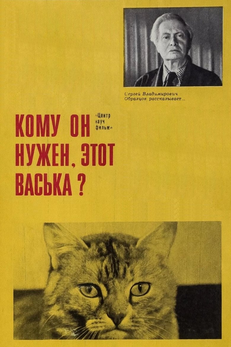 Poster of Who Needs This Vaska Anyway!