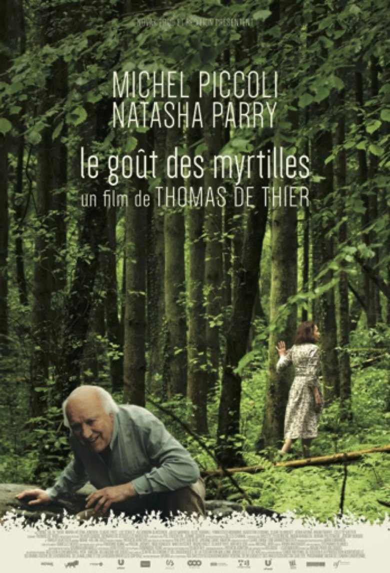 Poster of The Taste of Blueberries