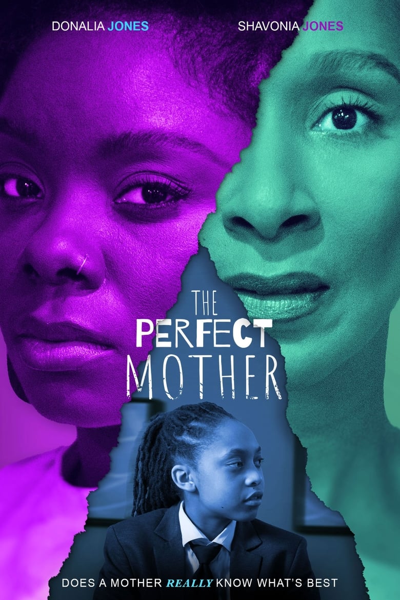 Poster of The Perfect Mother