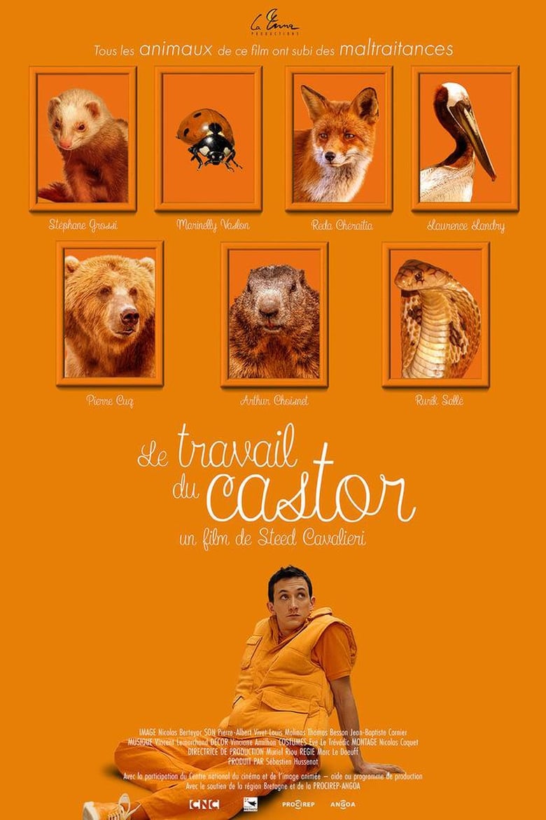 Poster of Le Travail du castor