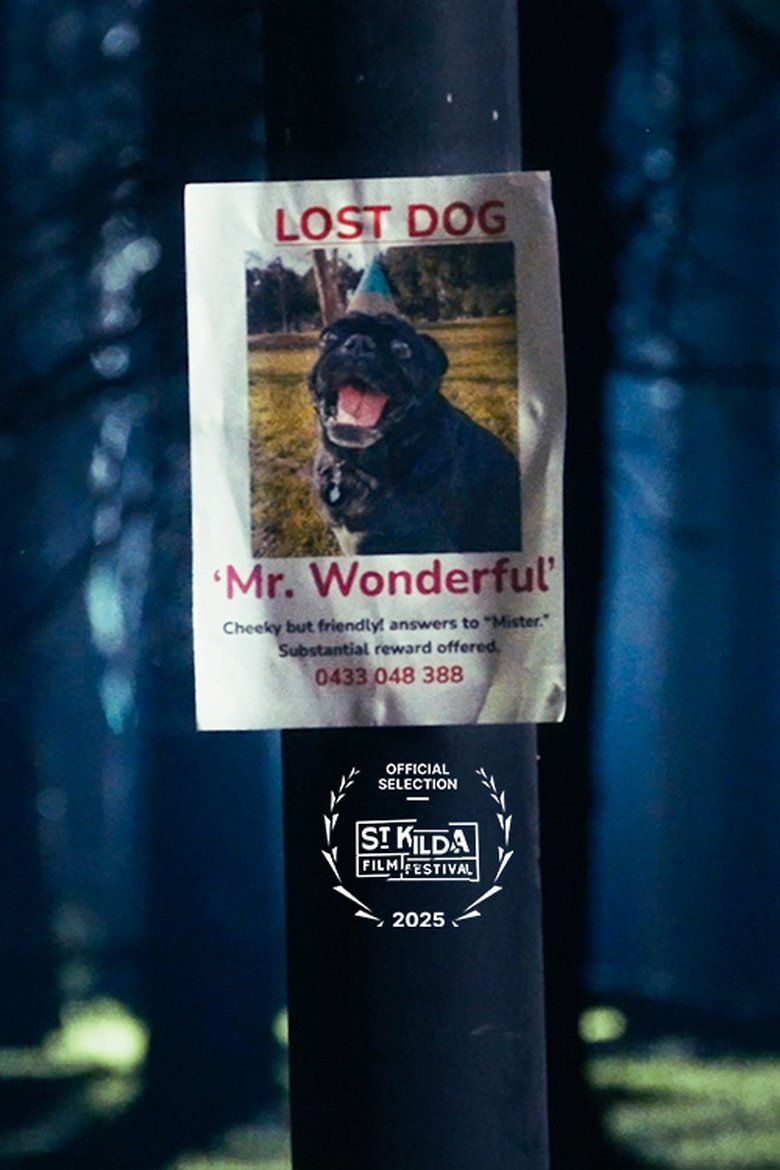 Poster of Mr. Wonderful