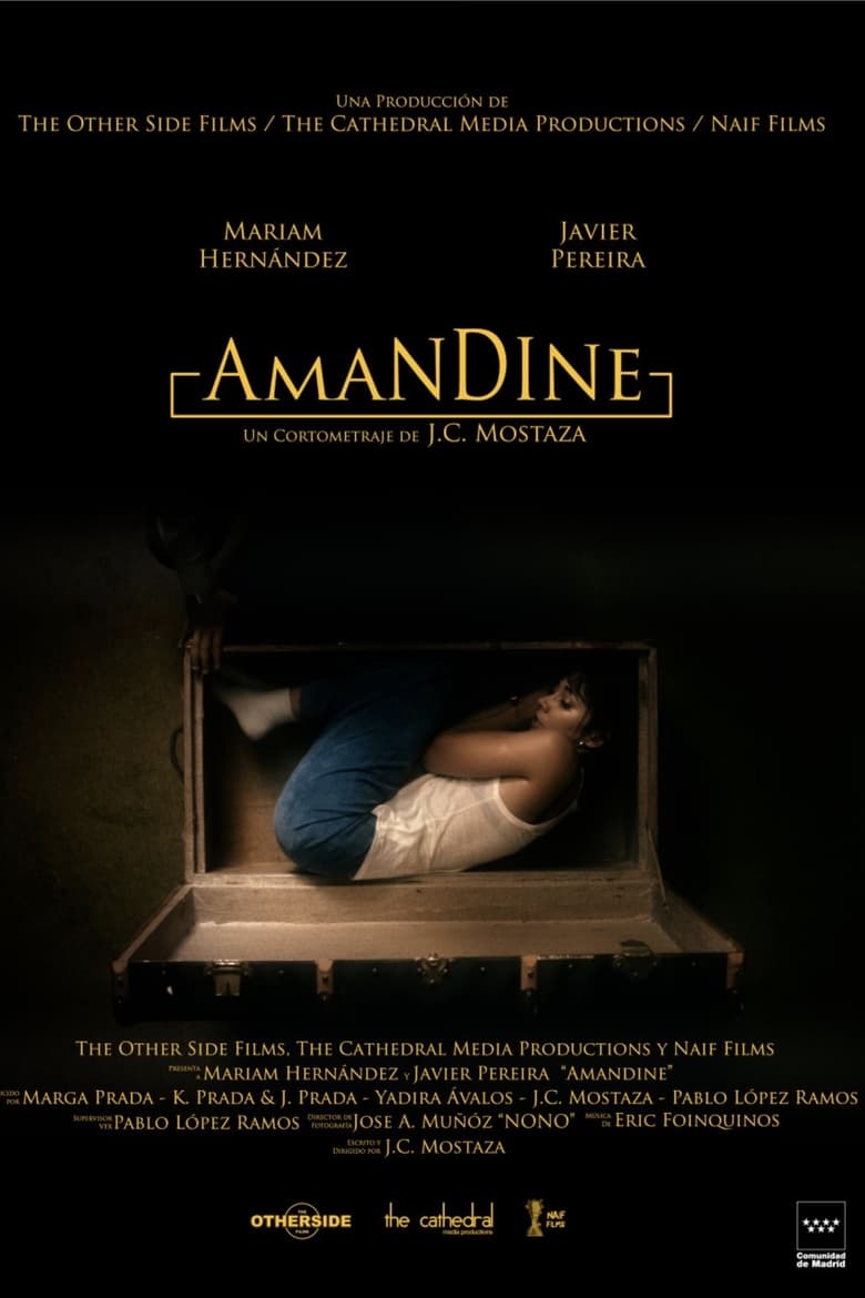 Poster of Amandine