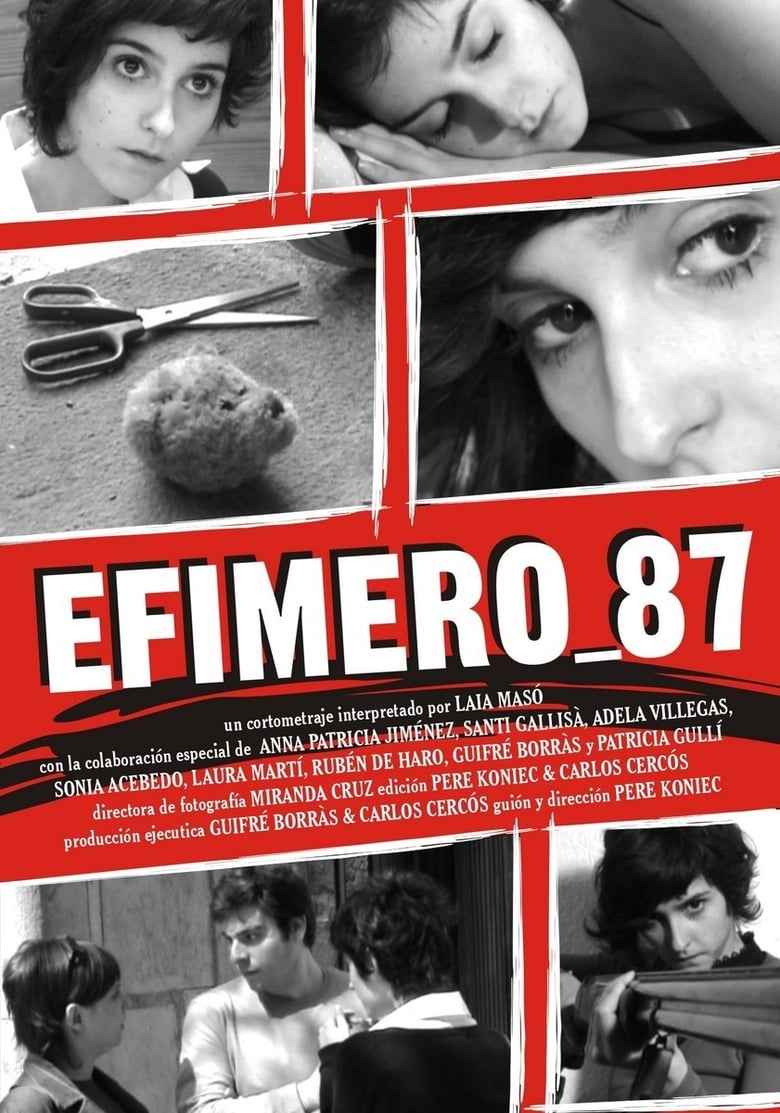 Poster of Ephemeral 87