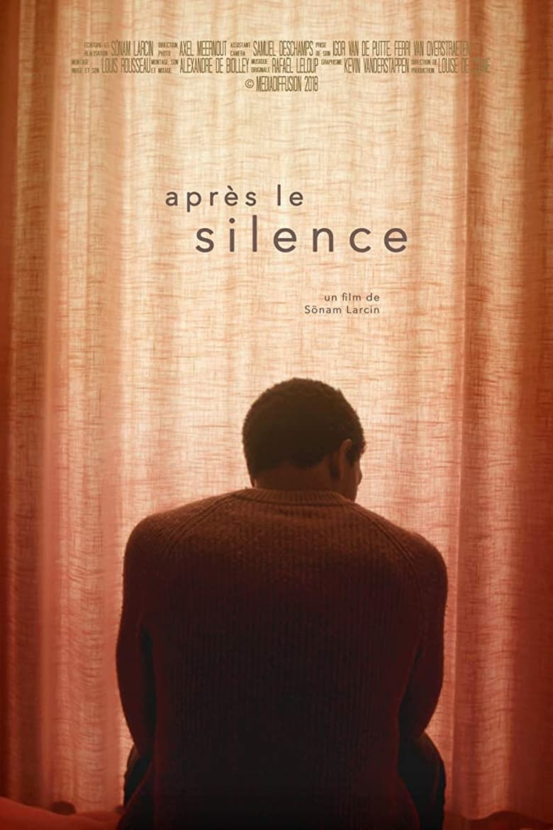 Poster of After the Silence